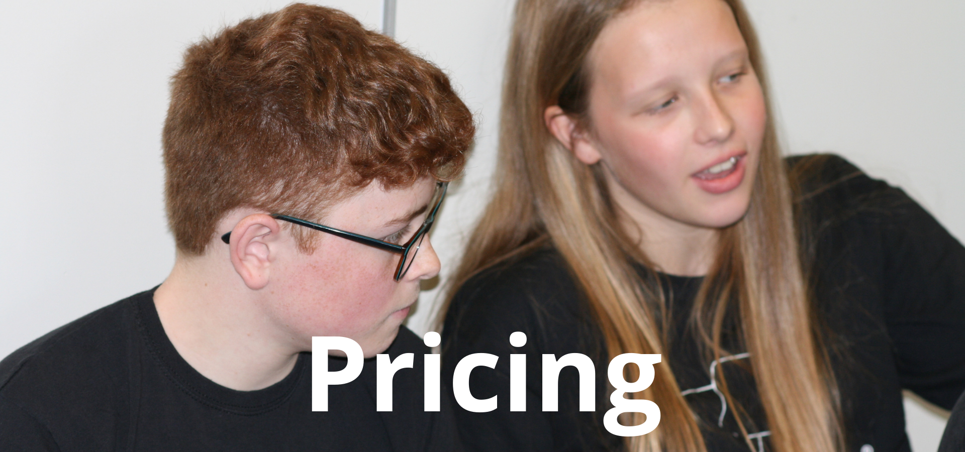 Big Mouth Theatre Pricing image